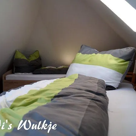 Tonis-wulkje-2 Holiday home Ditzum