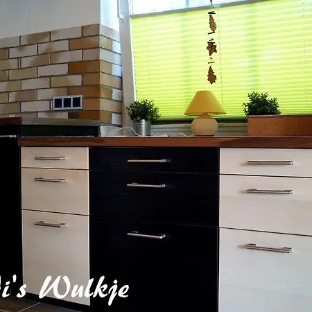 Tonis-wulkje-2 Prázdninový dům Ditzum