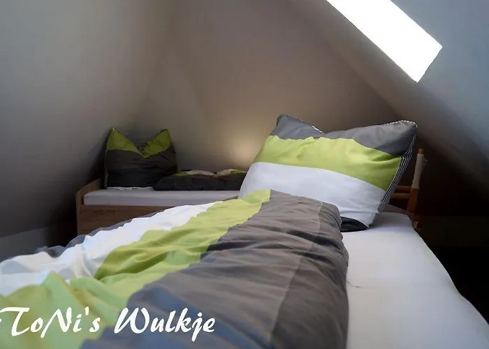 Tonis-wulkje-2 בית נופש דיצום