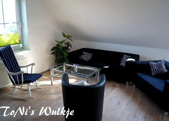 Tonis-wulkje-2 דיצום